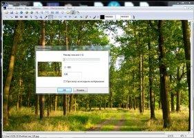 Alternate Pic View Скриншот 4